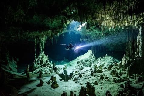 Cave Diving Cenote Tours Cave Diving Mexico Playa Del Carmen