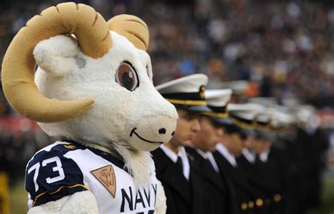 Bill The Goat The Mascot For The Us Naval Academy Football Team