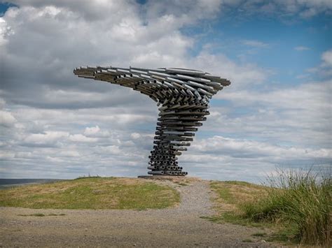 The Singing Ringing Tree Burnley 2020 Ce Quil Faut Savoir Pour