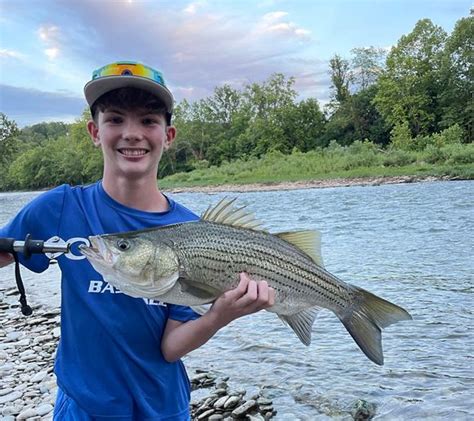 Fishing Reports Best Baits And Forecast For Fishing In East Fork