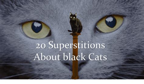20 Superstitions About Black Cats Hubpages