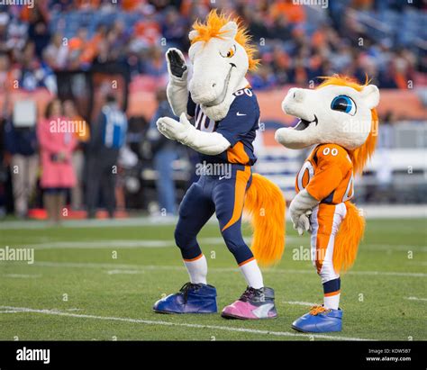 Broncos Mascot Hi Res Stock Photography And Images Alamy