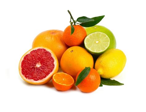 Storing Citrus Fruit Thriftyfun