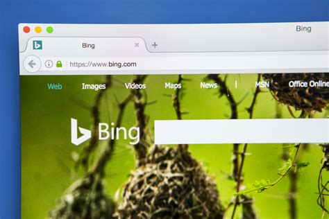 Microsoft Bing Ads Management Adsrunner