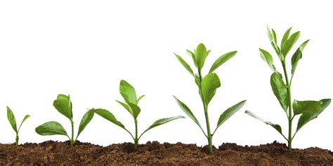 Allow Yourself to Grow | HuffPost