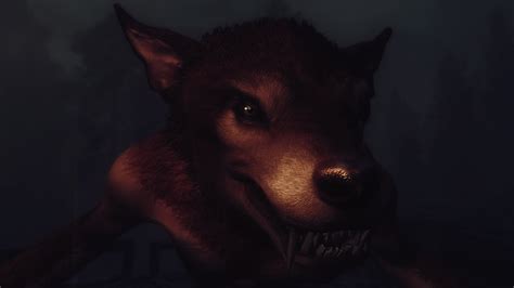 Moonlight Tales Werewolf And Werebear Essentials At Skyrim Nexus