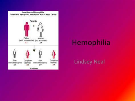 Ppt Hemophilia Powerpoint Presentation Free Download Id6498831