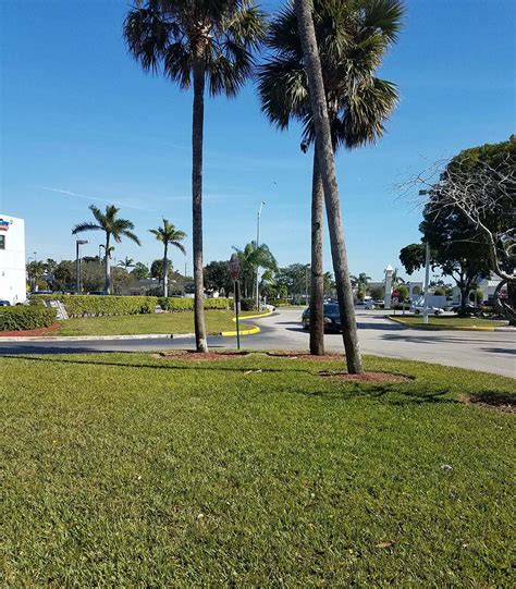 Explore other popular home services near you from over 7 million businesses with over 142 million reviews and opinions from yelpers. Sod Installation Services Near Me | South Florida | Pink ...