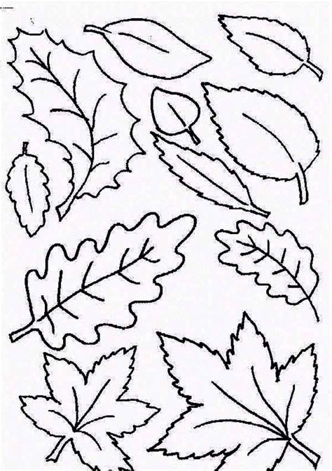 Type of Autumn Leaf Coloring Page - NetArt
