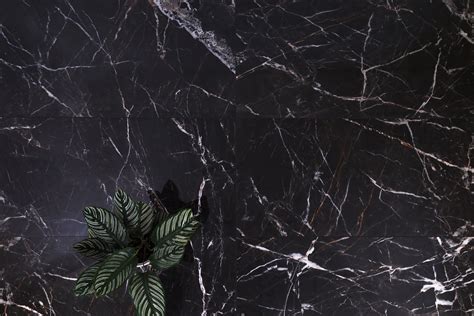 Glossy Black Marble With Golden And White Veins Full Body Porcela