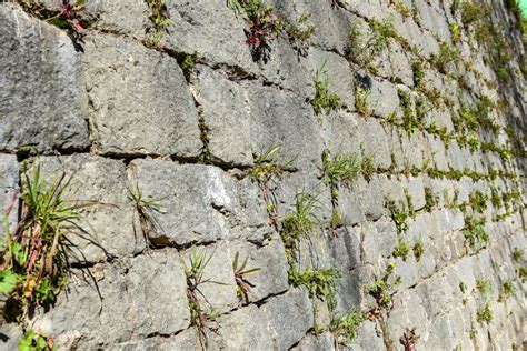 Old Stone Castle Wall Made Of Stone Brick Slabs Stock Image Image Of