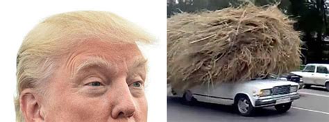 Men type (quiz made for women) what anime character stereotype are you? 21 Things That Look Exactly Like Donald Trump