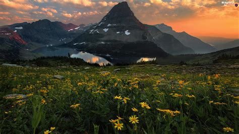 Lake Mountains Yellow Flowers Meadow Great Sunsets