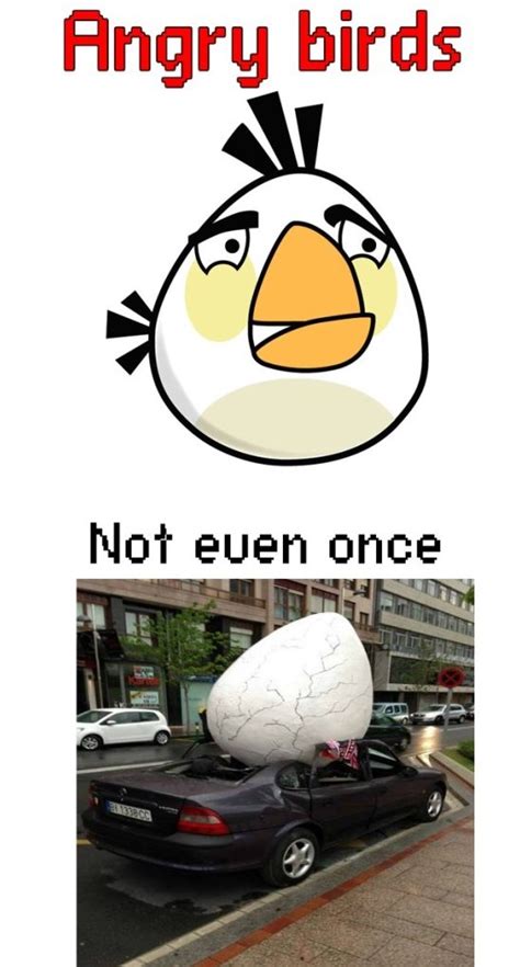 Angry Bird Memes Image Memes At