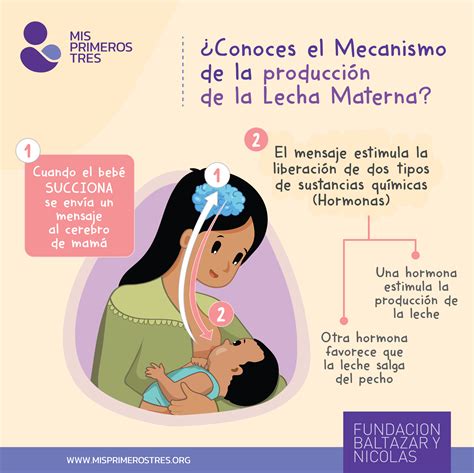 Materiales Para Promover La Lactancia Materna Fundaci N Baltazar Y