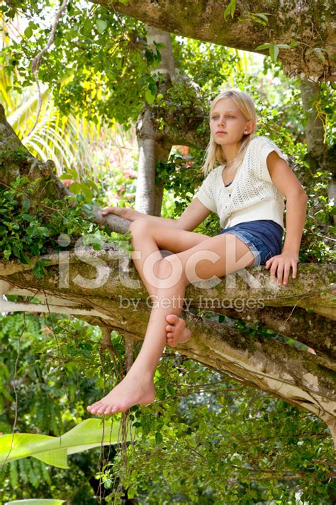 Pretty Blonde Girl In A Banyon Tree Stock Photo Royalty Free Freeimages