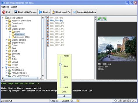 Fast Image Resizer For Java