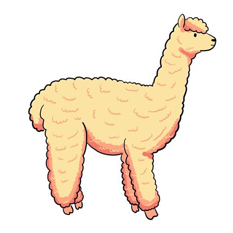 Cris Wiegandt Animation Director And Design Alpacas Personal Project