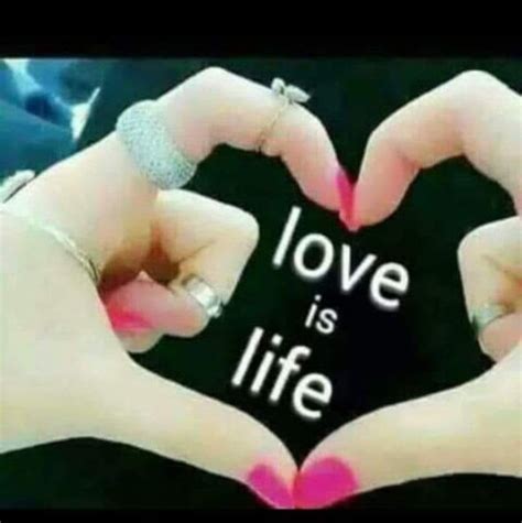 Love Is Life