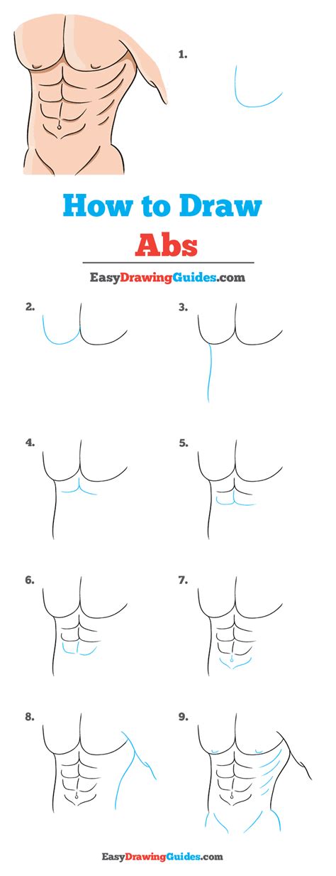 How To Draw Abs Really Easy Drawing Tutorial