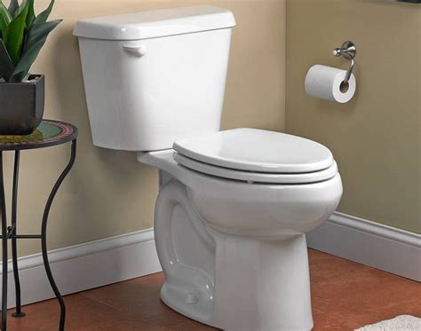 10 Best Low Flow Toilets In Detail Reviews Winter 2024