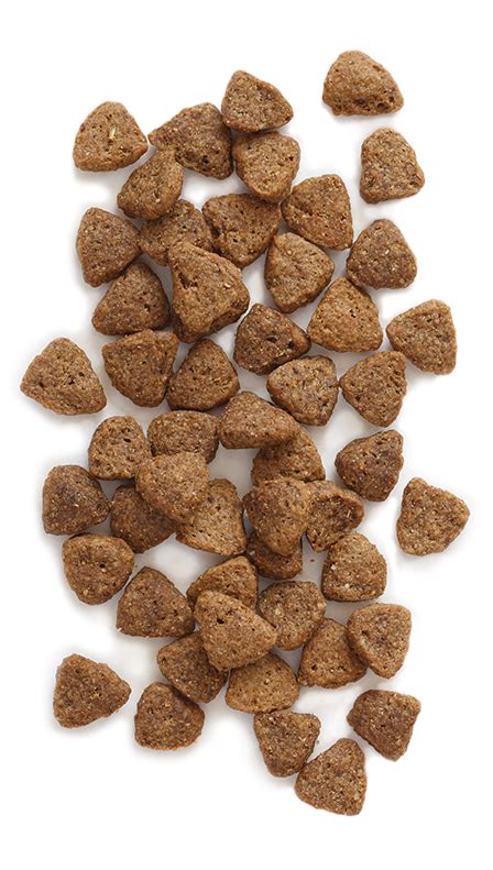 Check spelling or type a new query. Dog food PNG