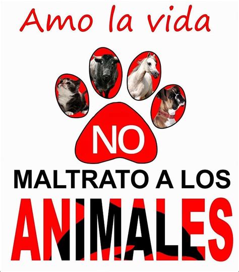 Pin En Animales Frases En Español