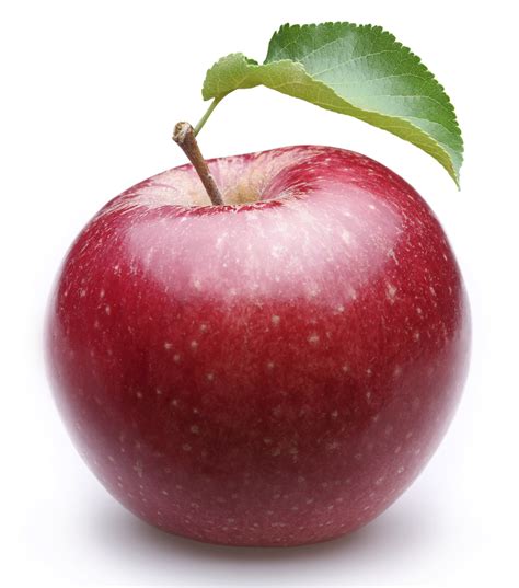 The meaning and symbolism of the word - Apple
