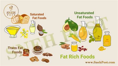 Fat Foods Herbs And Food Recipes