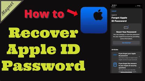 Reset Your Apple ID Password Using Apple Support App YouTube