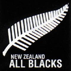 Jun 14, 2021 · rather than featuring on the jersey, the ineos logo would purportedly be positioned on the all blacks shorts, giving nzr the potential to sign up a front of jersey sponsor. All Blacks get new logo for Lions series | Sport24