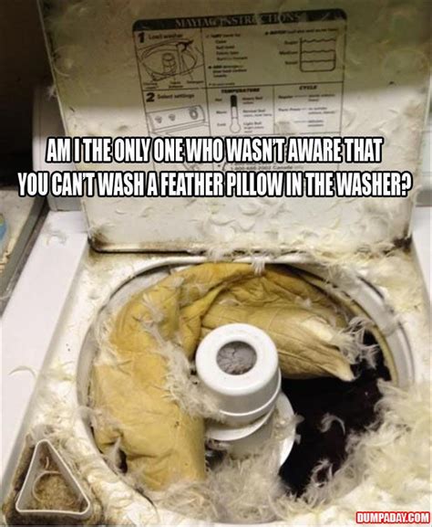 Can down pillows be washed? am I the only person who didn't know you can't wash a feather pillow | Funny crap | Pinterest ...