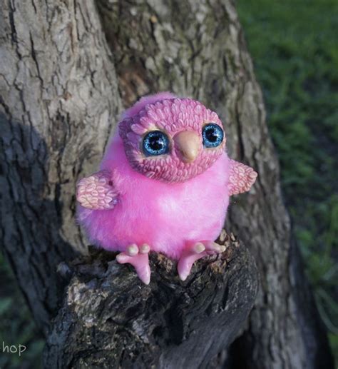 Pinky Owl Owl Animals Bird