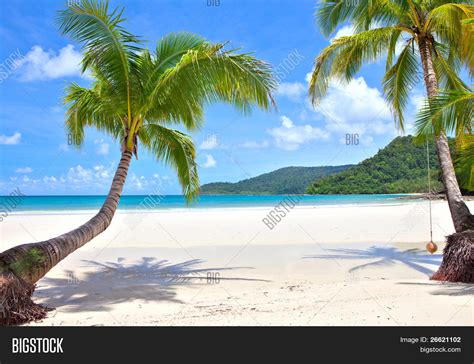 Palm Trees On Empty Sunny Beach Image And Photo Bigstock