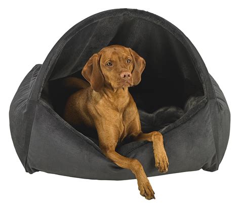 Bowsers Canopy Dog Beds At Glamour Mutt