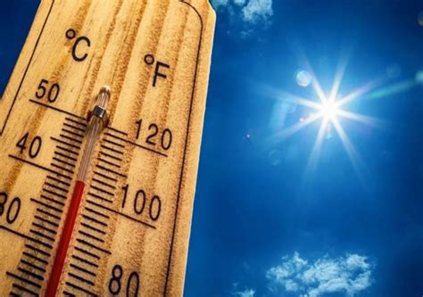 Mortes Por Ondas De Calor Aumentaram 50 Em Apenas 20 Anos