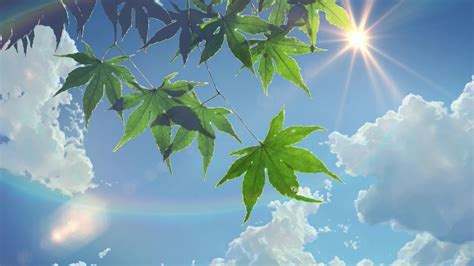 Wallpaper Sunlight Leaves Nature Sky Clouds Branch