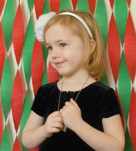 From snowy scenes to traditional christmas backgrounds, we have the holiday backdrop to suit any photo session you add some color to your festivities with our wide array of christmas backdrops! DIY Cheap & Easy Photo Backdrop Ideas