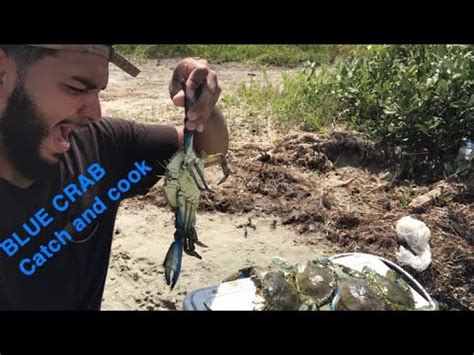 50 list price $12.00 $ 12. DIY Crab Trap(BLUE CRAB COOK) - YouTube