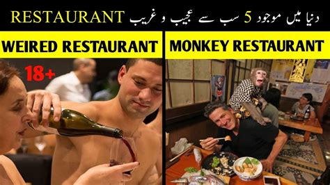 5 world s most strange and unusual restaurants दुनिया के 5 अजीबोगरीब रेस्टोरेंट urdu youtube