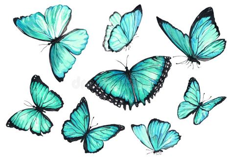 Collection Watercolor Of Flying Purple Butterflies Stock Illustration