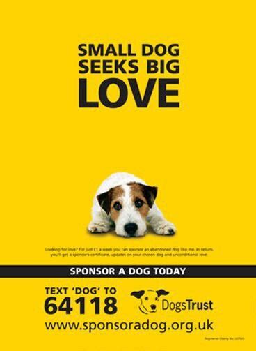 You can also include preventive care coverage as an aspca pet health insurance has several phone numbers to call for customer service. Sponsor a dog at Dogs Trust UK. | Dogs trust, Dog ...