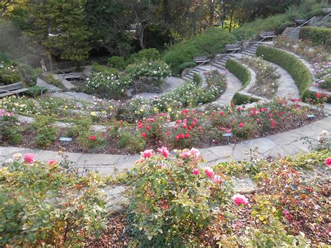 Berkeley Rose Garden Spirituality Talk