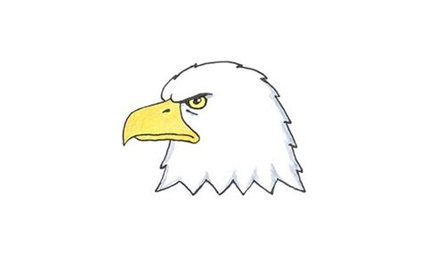 Eagles are so cool looking, and chuckers loved doing this step by step, hope your kids do too! How To Draw A Bald Eagle Head - My How To Draw