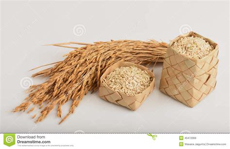 Germinated Brown Rice Or Gaba Rice Stock Image Image Of Grain