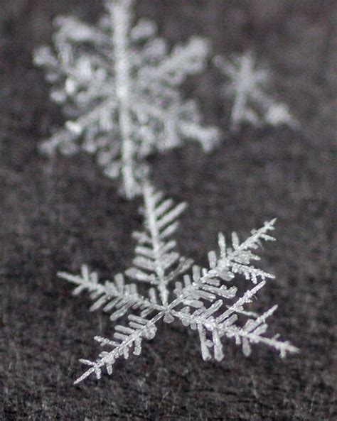 Unique And Beautiful Snowflakes 49 Pics