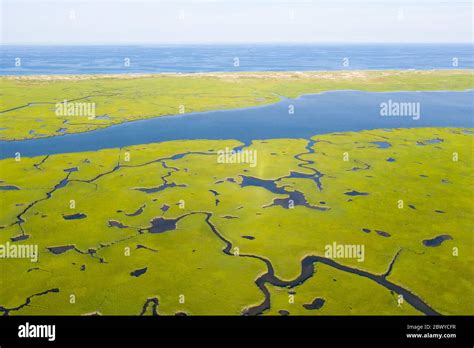 An Aerial View Shows Narrow Channels Meandering Through A Salt Marsh On