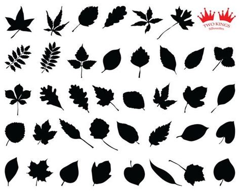 Download SVG leaf silhouette black set decoration element design. | Etsy | Leaf silhouette, Black set ...