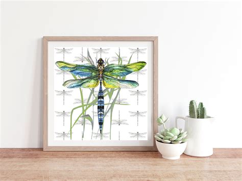 Dragonfly Giclee Print — Rachel Reynolds