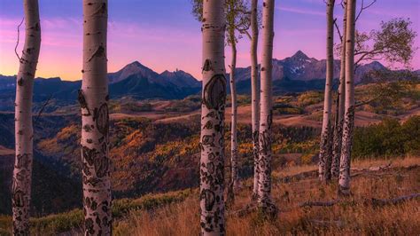 Aspen Frames De Mei Xu Photographie Dart